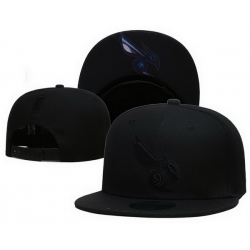 Charlotte Hornets Snapback Cap 25G007