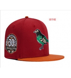 Baltimore Orioles Snapback 25G003