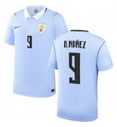 Youth 9 Uruguay Darwin Nunez Away Replica Jersey World   1