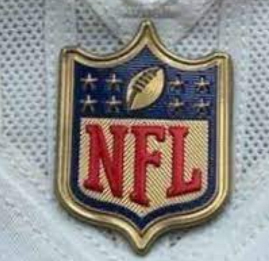 Men San Francisco 49ers Gold NFL Logo Patch Biaog